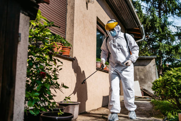 Best Residential Pest Control  in Naples, TX