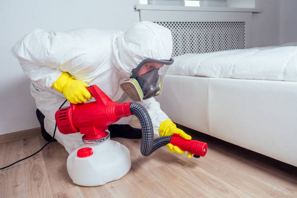 Best Cockroach Control Services  in Naples, TX