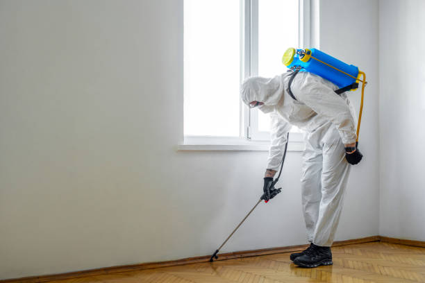 Best Flea Control Services  in Naples, TX