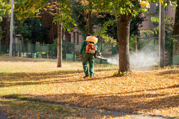 Best Commercial Pest Control Services  in Naples, TX